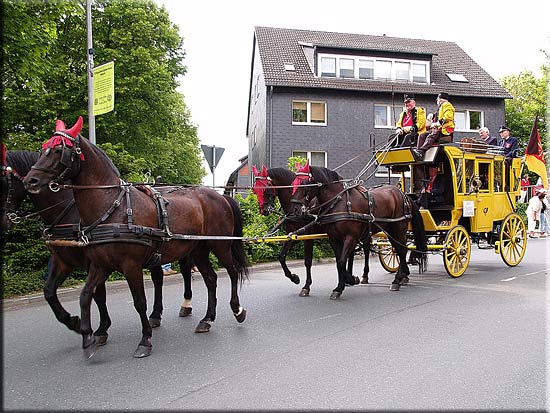 Umzug 0211.jpg